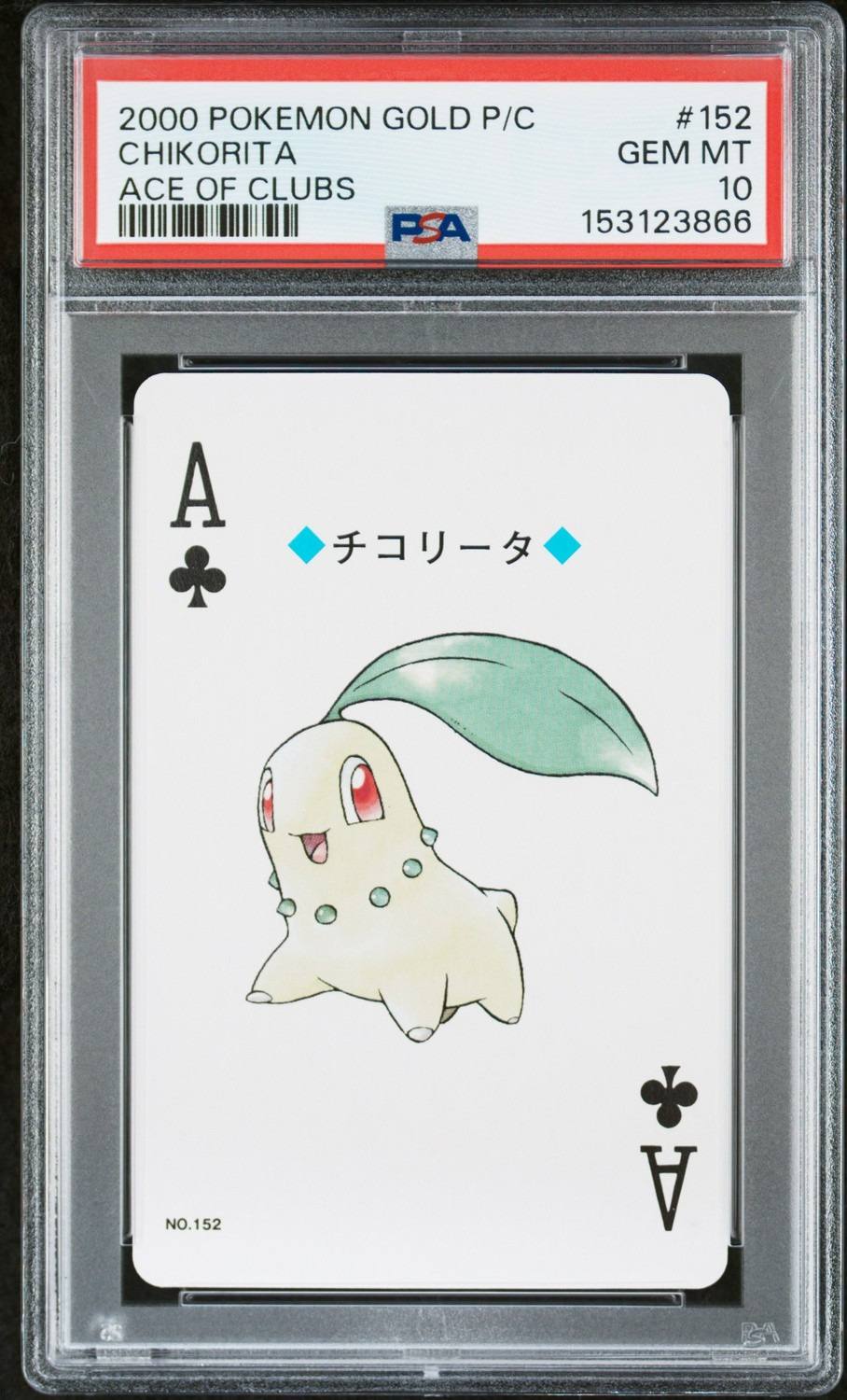 Chikorita