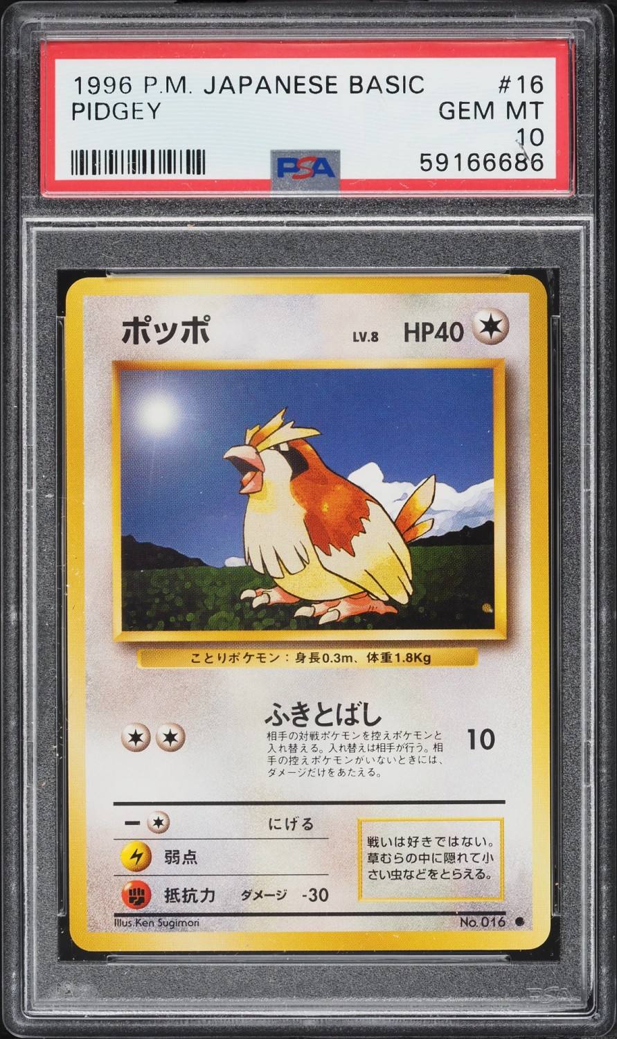 Pidgey