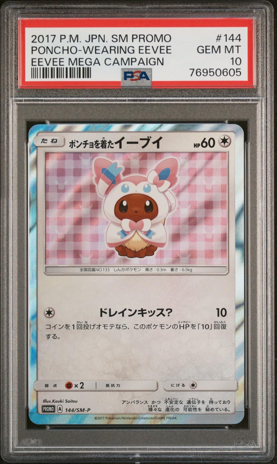 Poncho-Wearing Eevee
