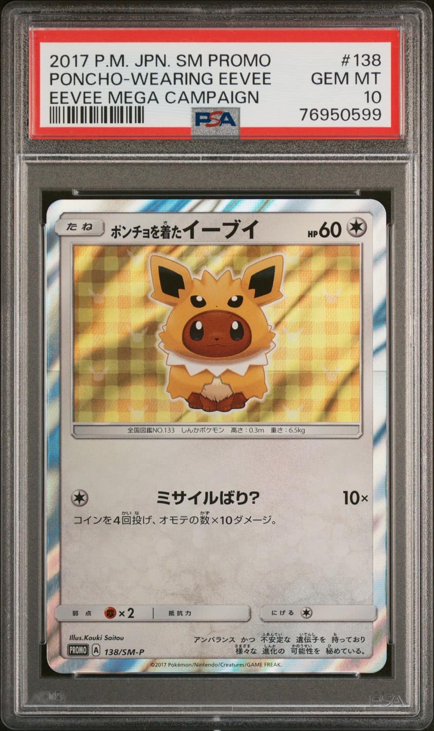 Poncho-Wearing Eevee