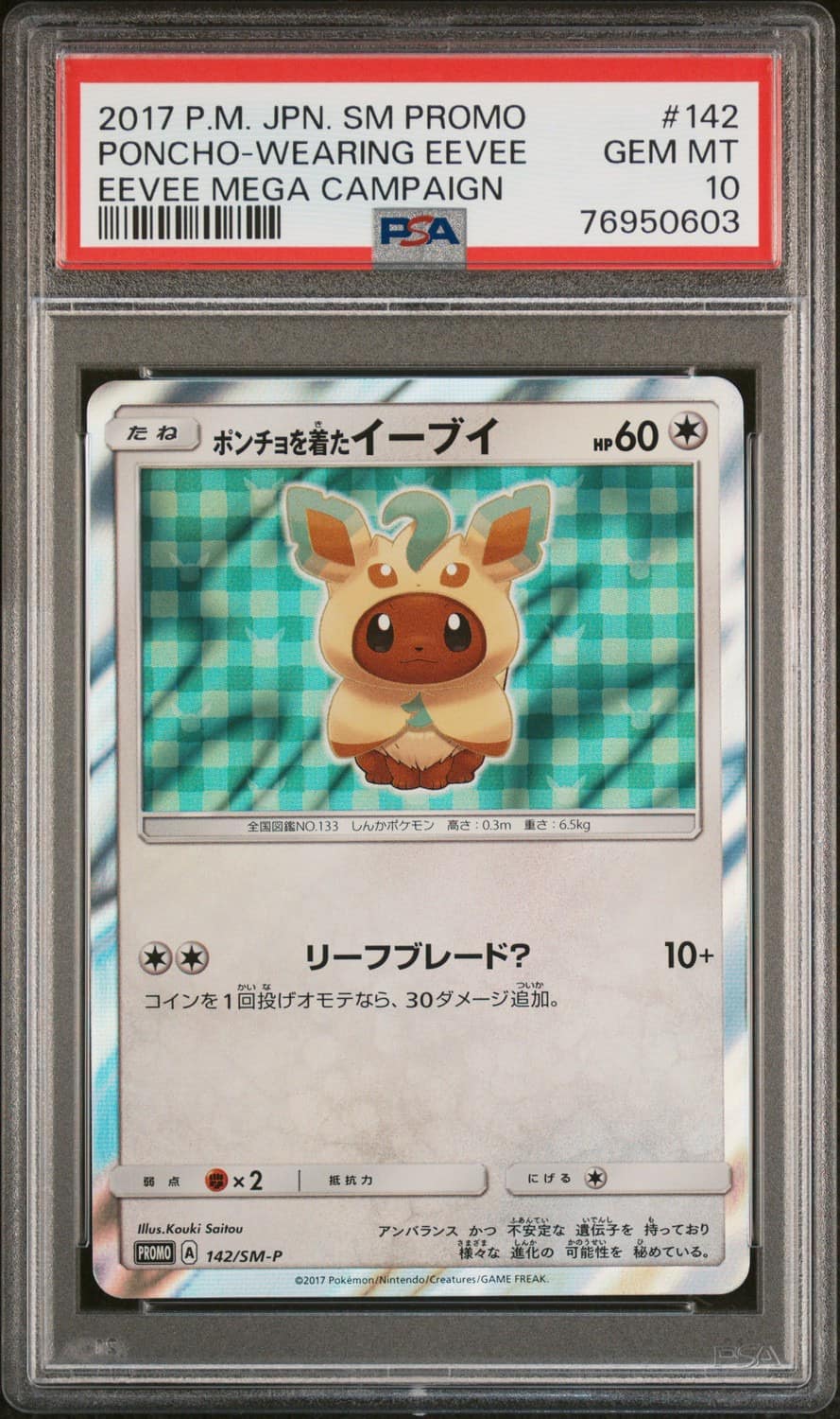 Poncho-Wearing Eevee