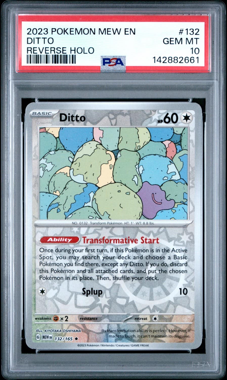 Ditto