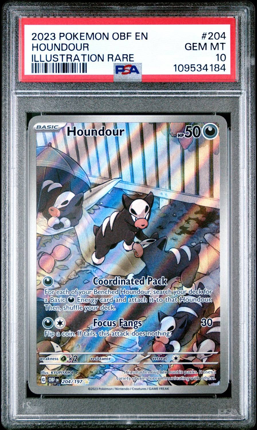 Houndour