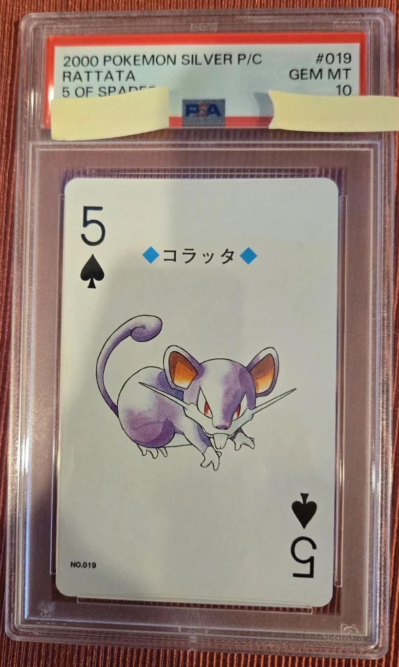 Rattata