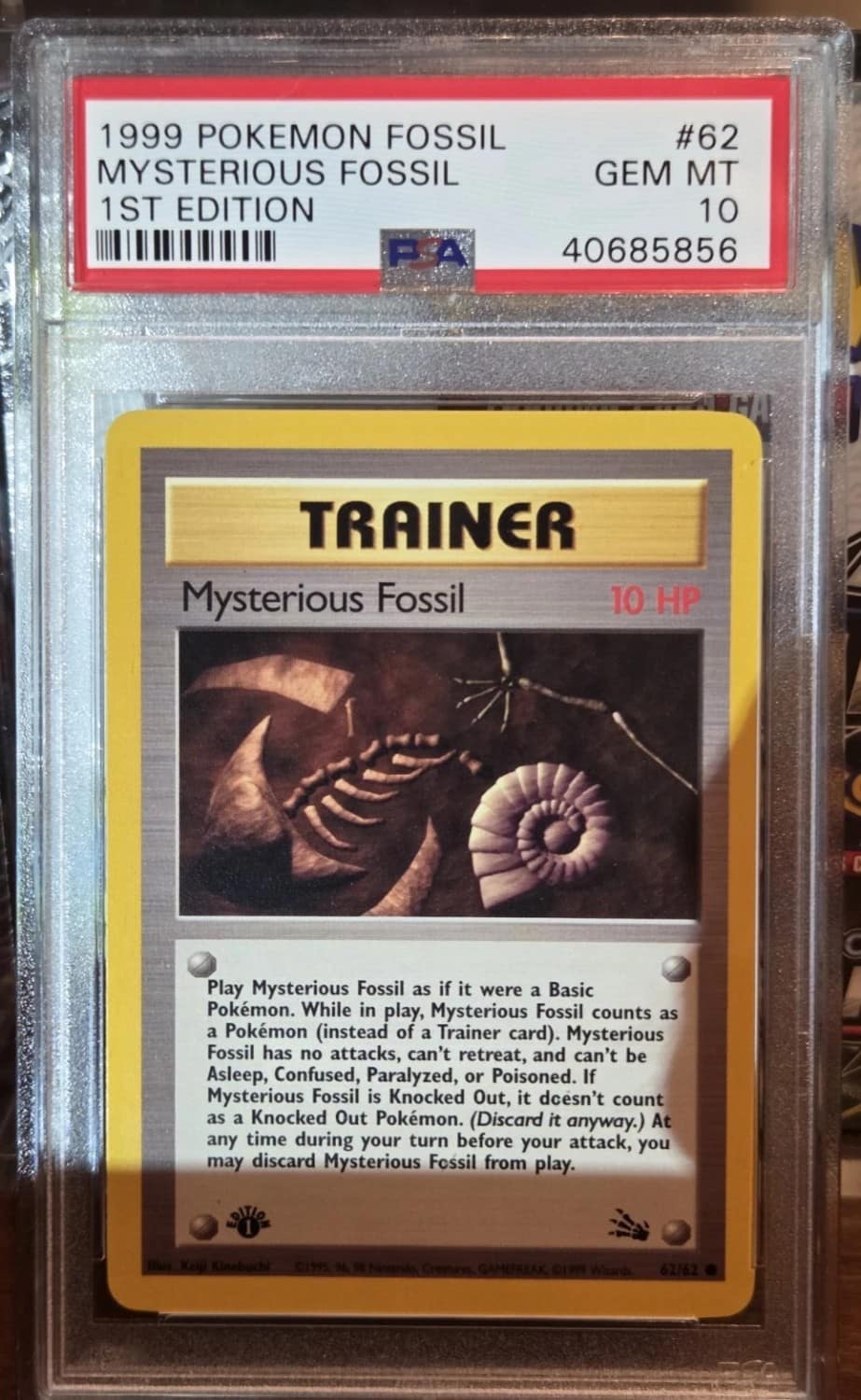 Mysterious Fossil