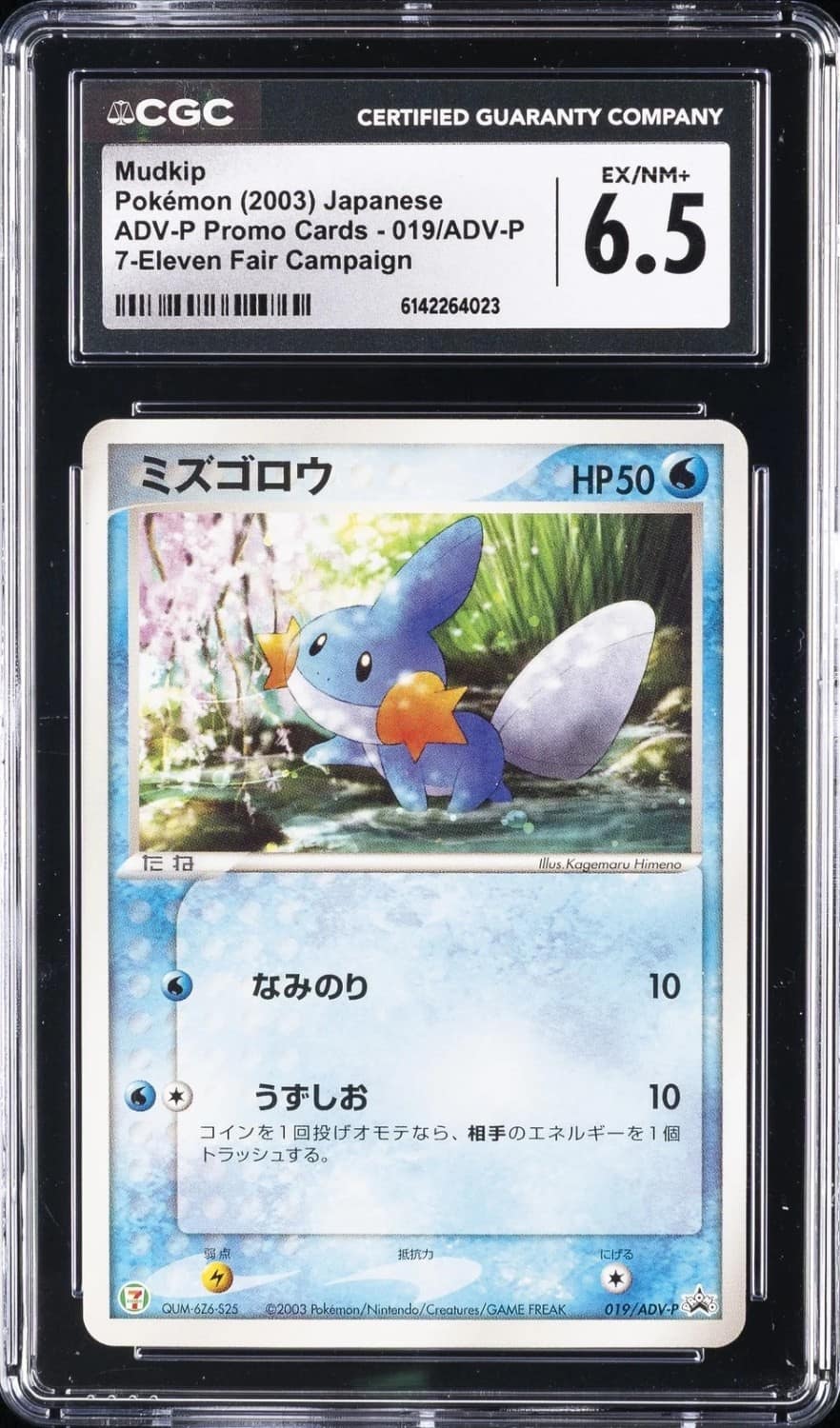 Mudkip