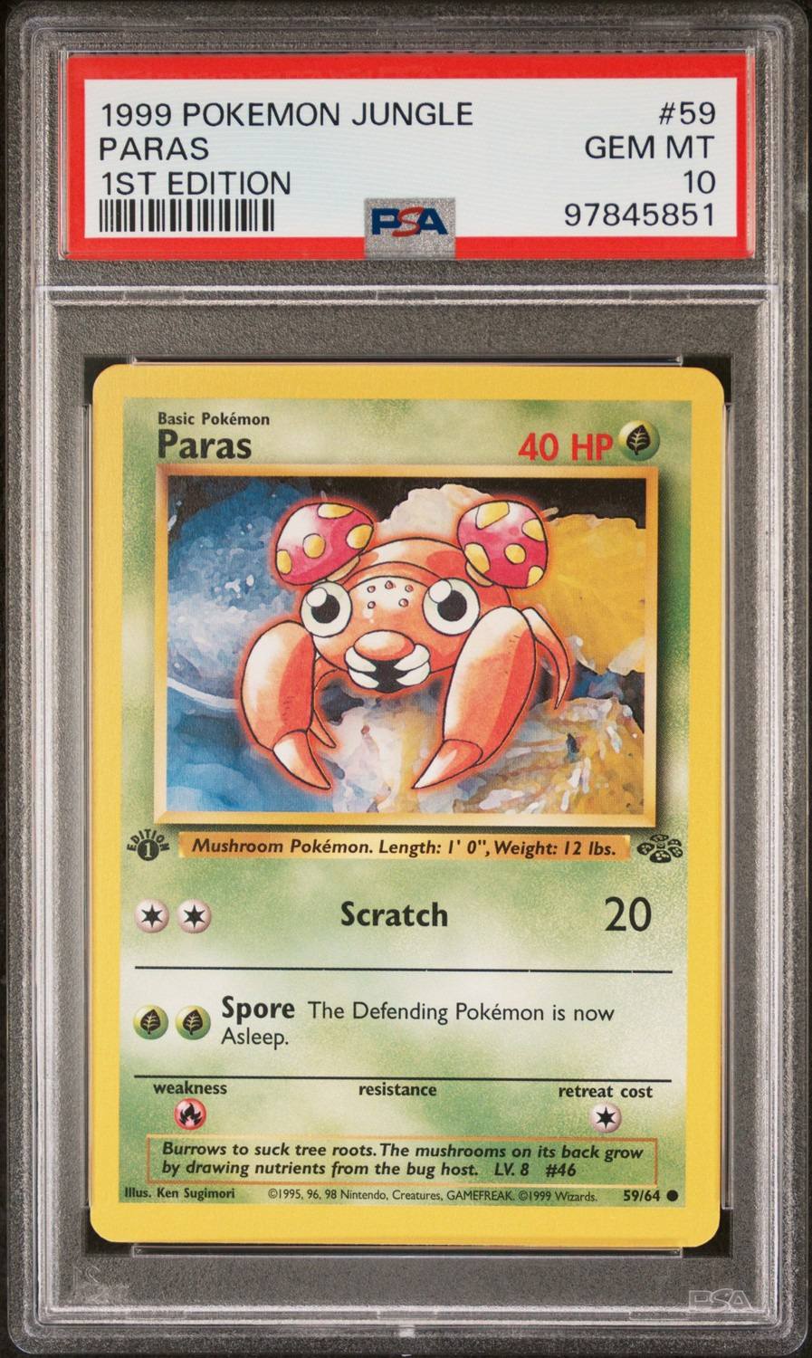 Paras