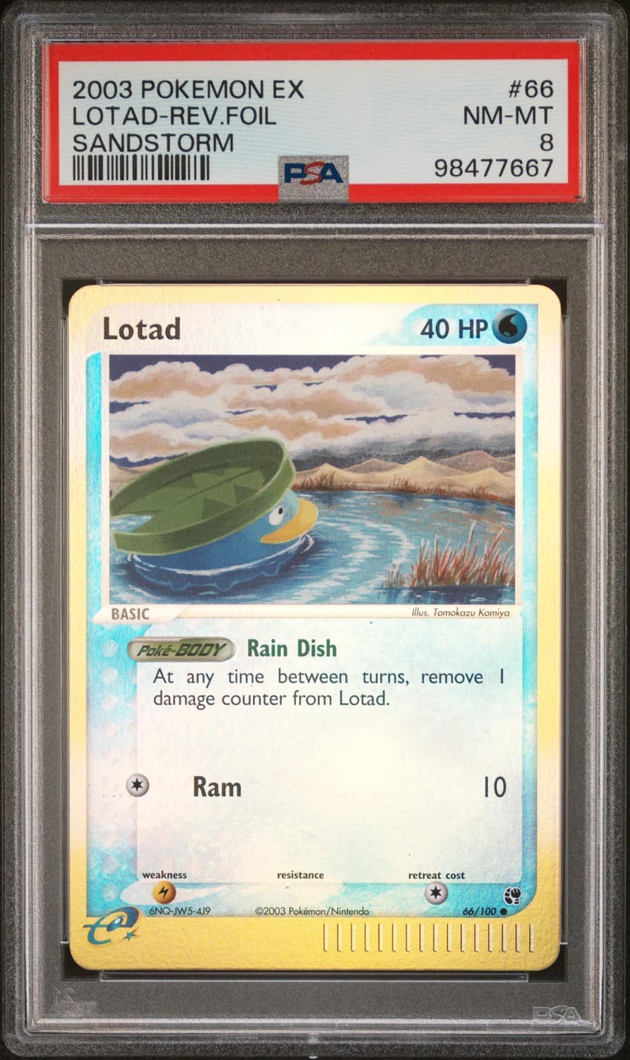 Lotad