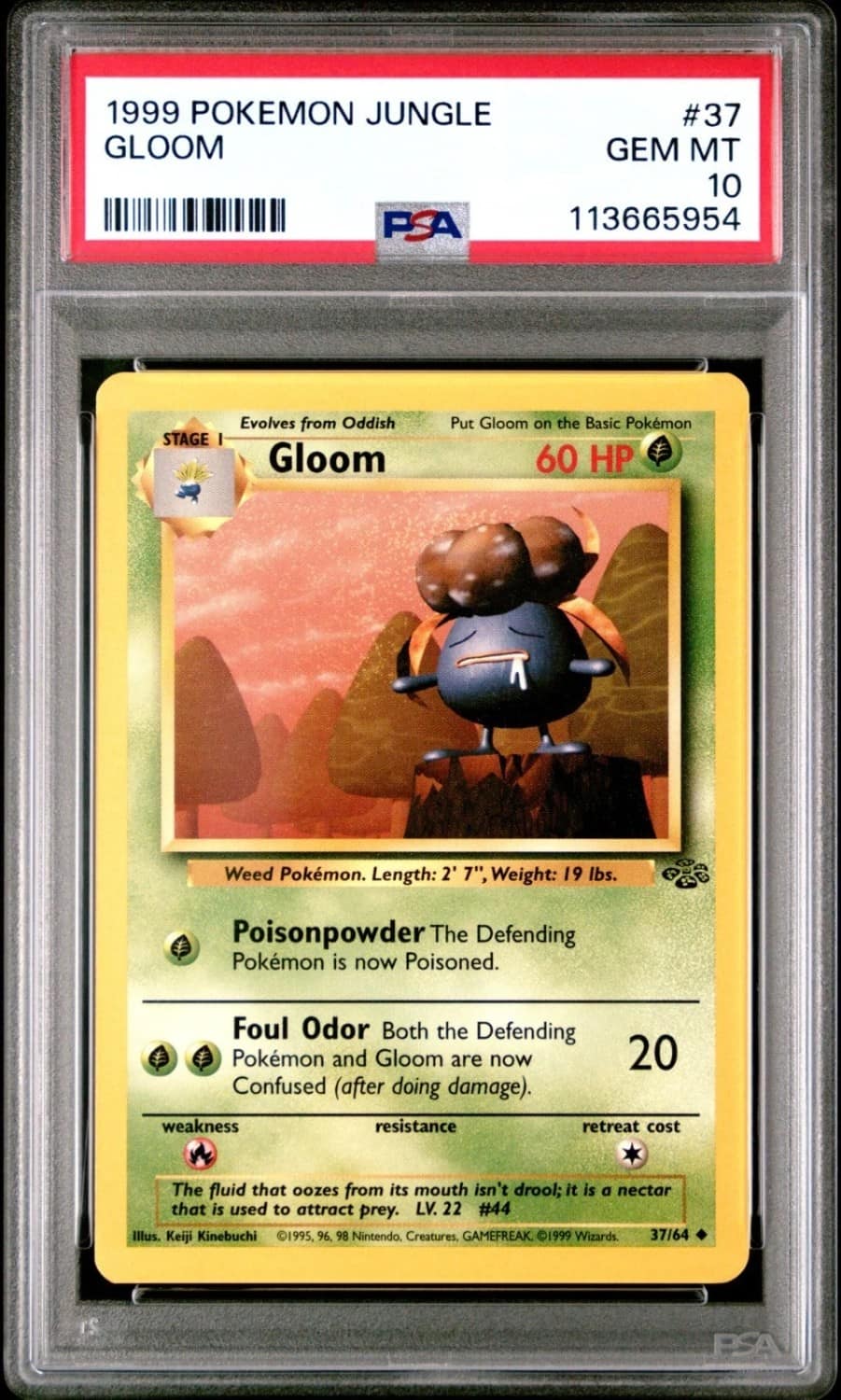 Gloom