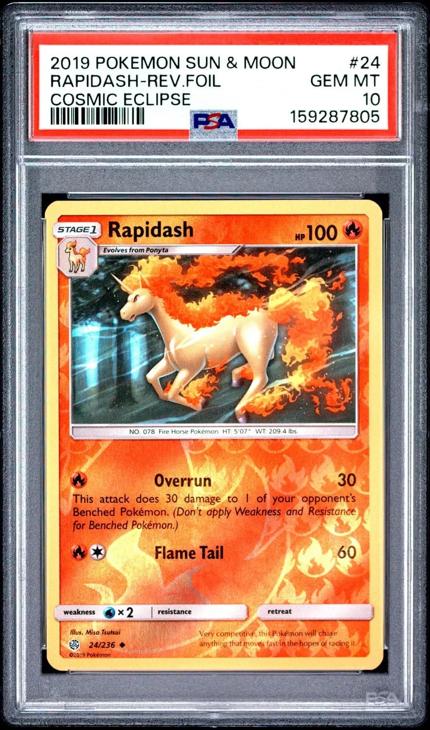 Rapidash