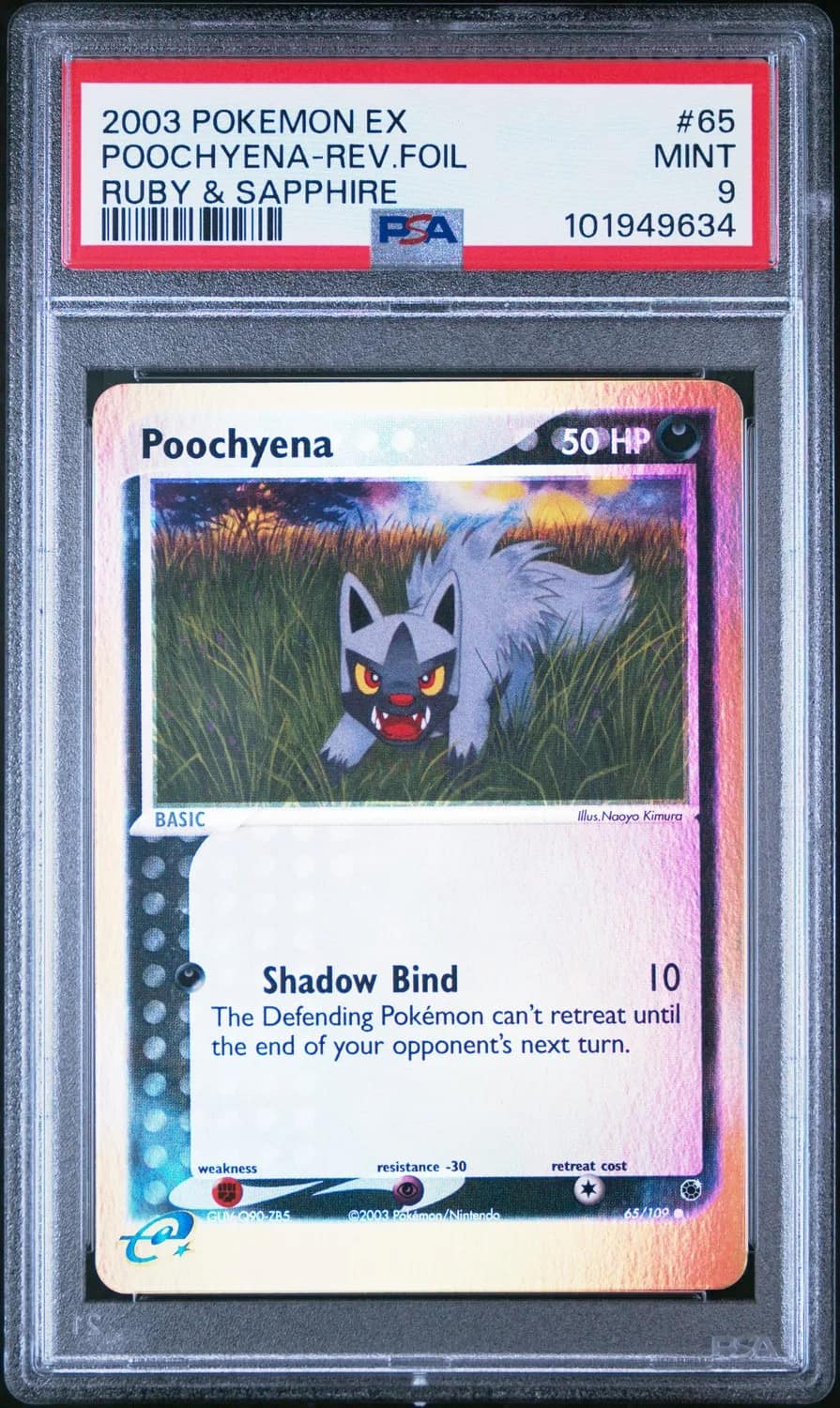 Poochyena