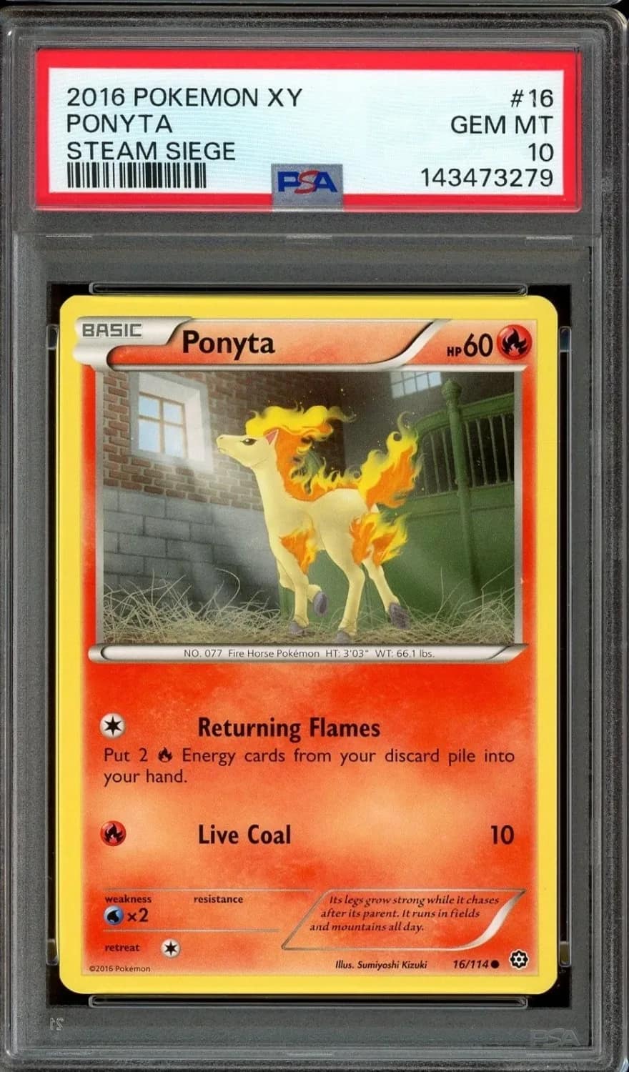 Ponyta