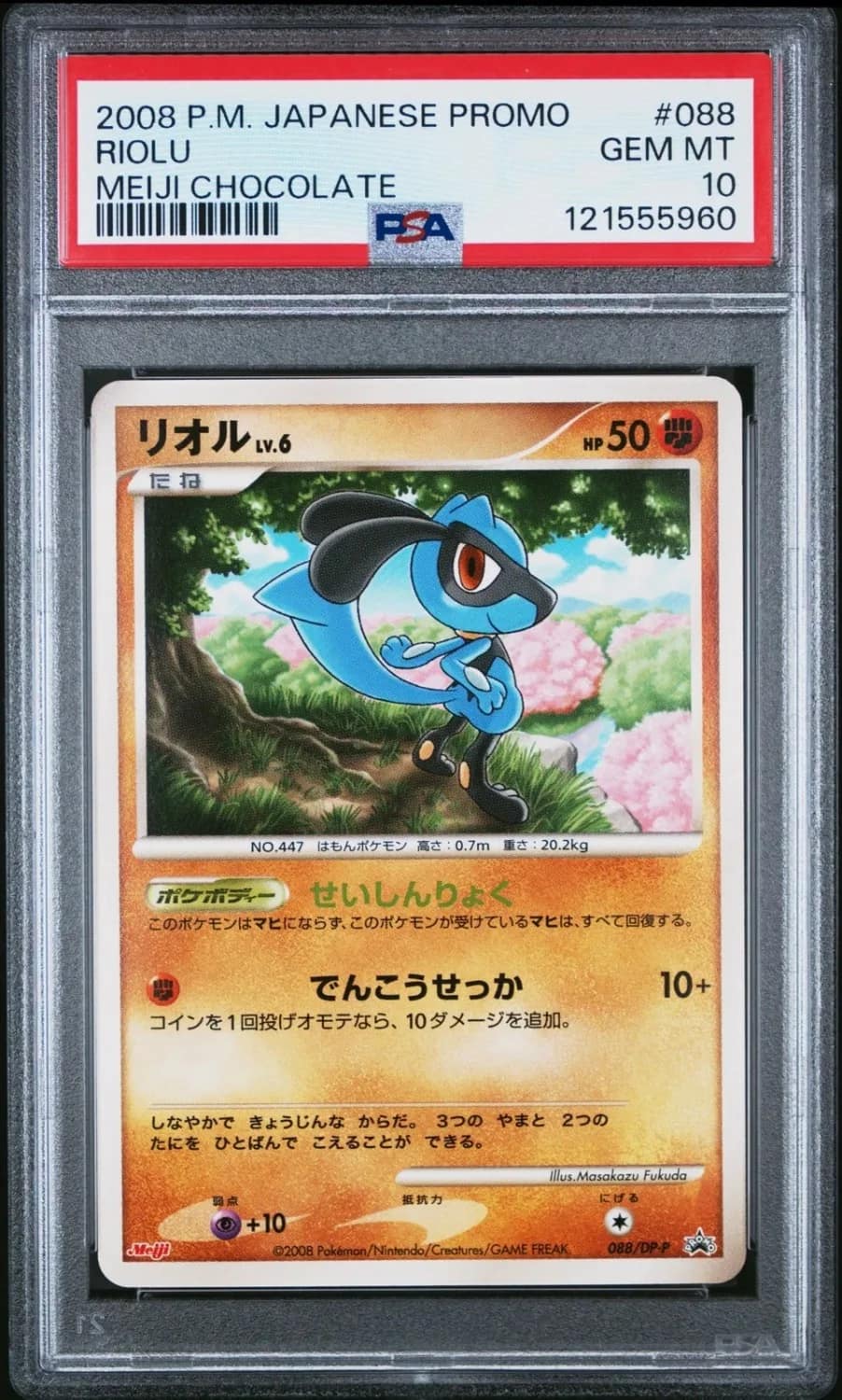 Riolu