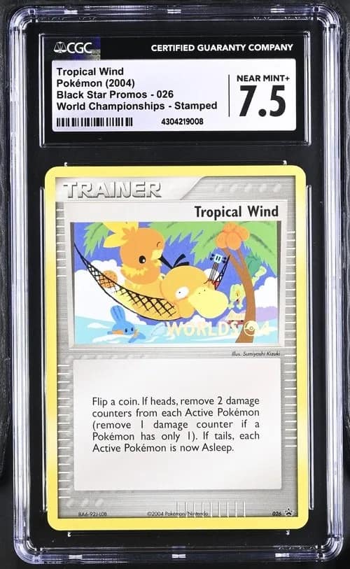 Tropical Wind