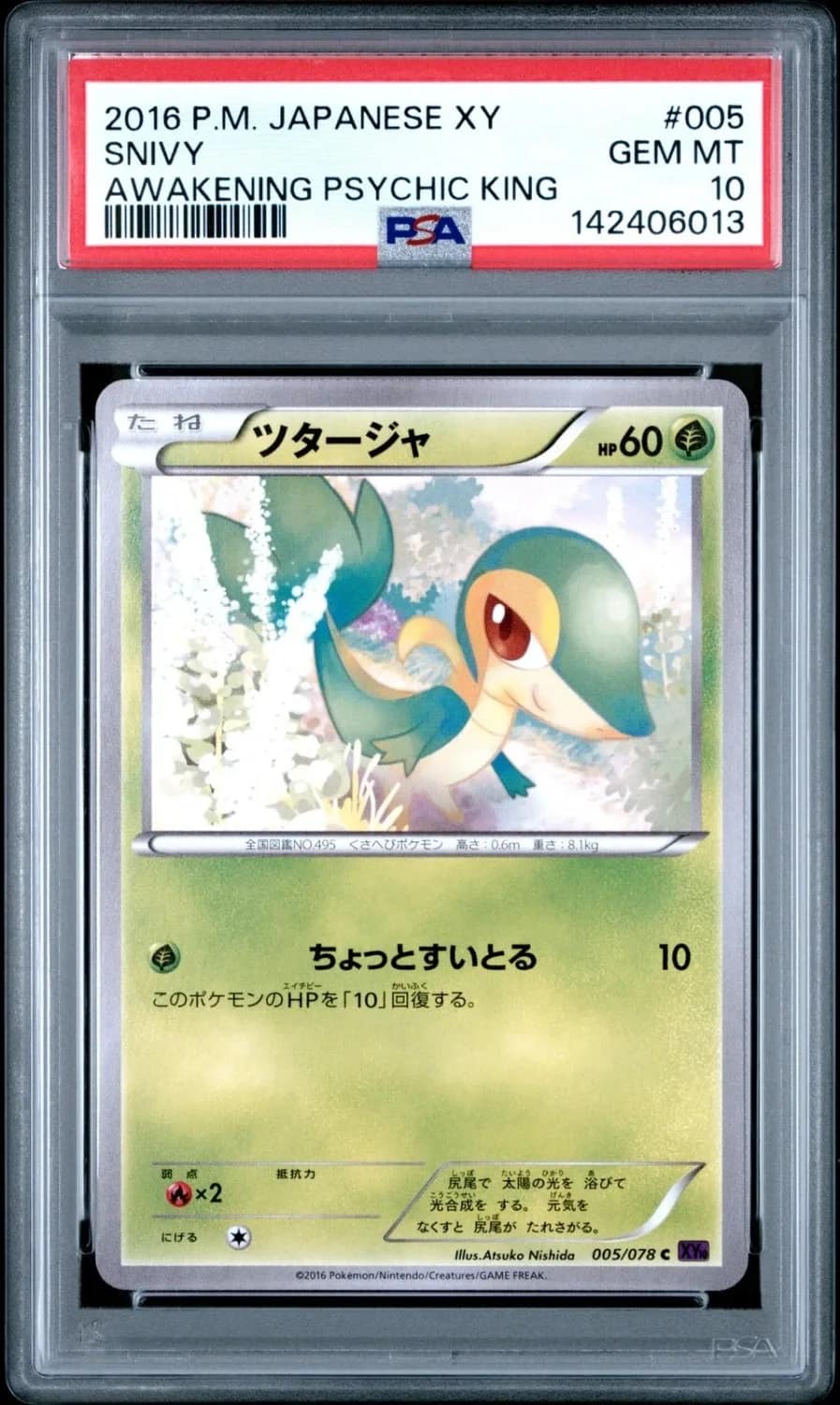 Snivy