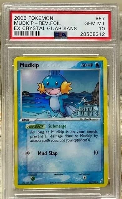 Mudkip