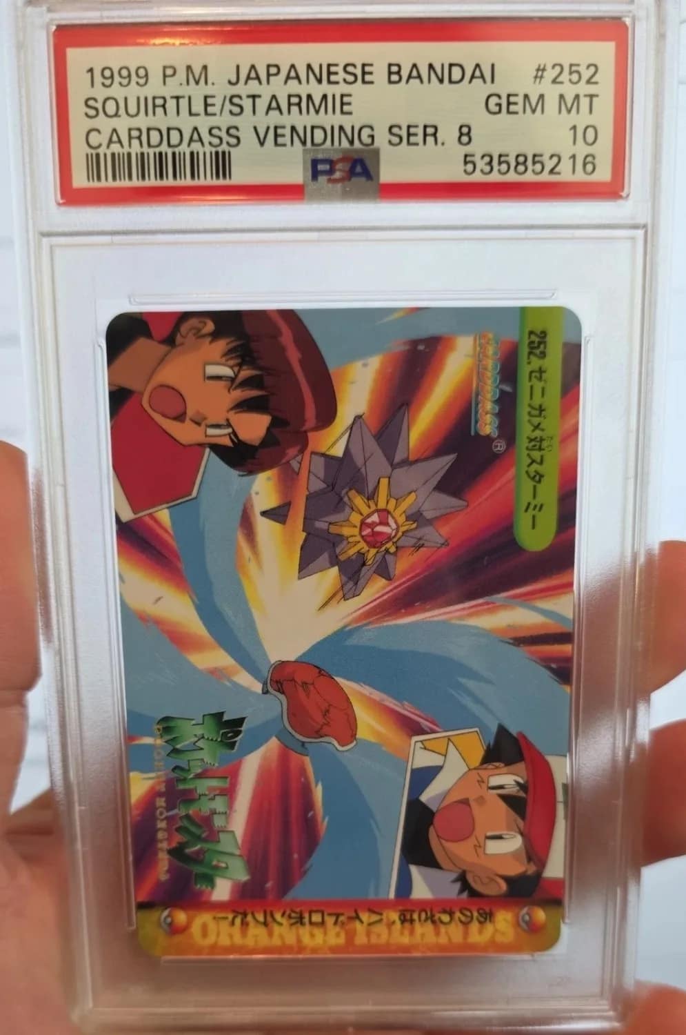 Squirtle/starmie
