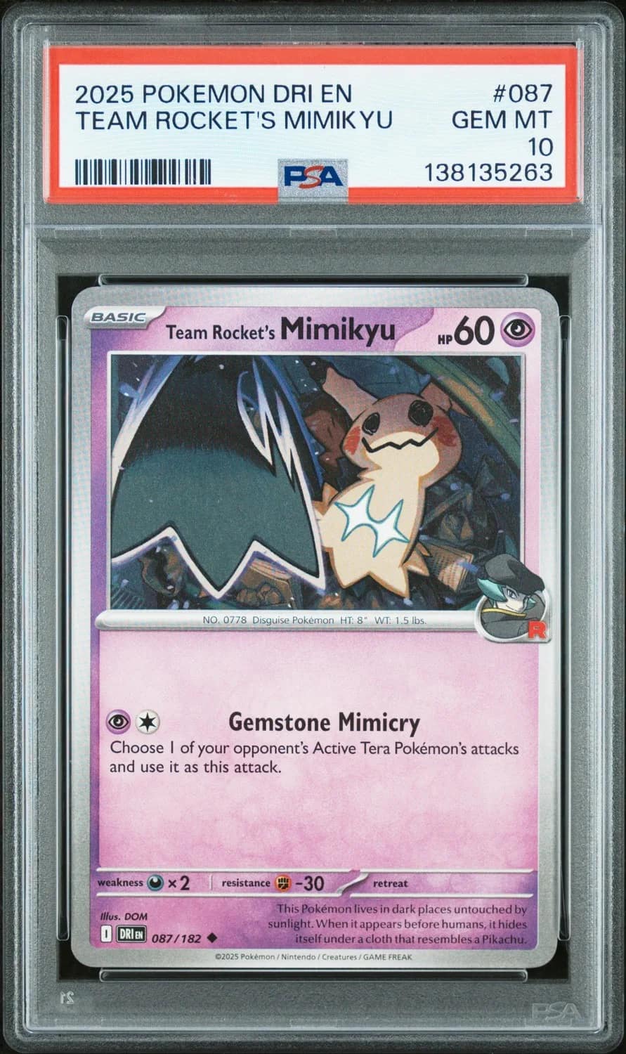 Team Rocket'S Mimikyu