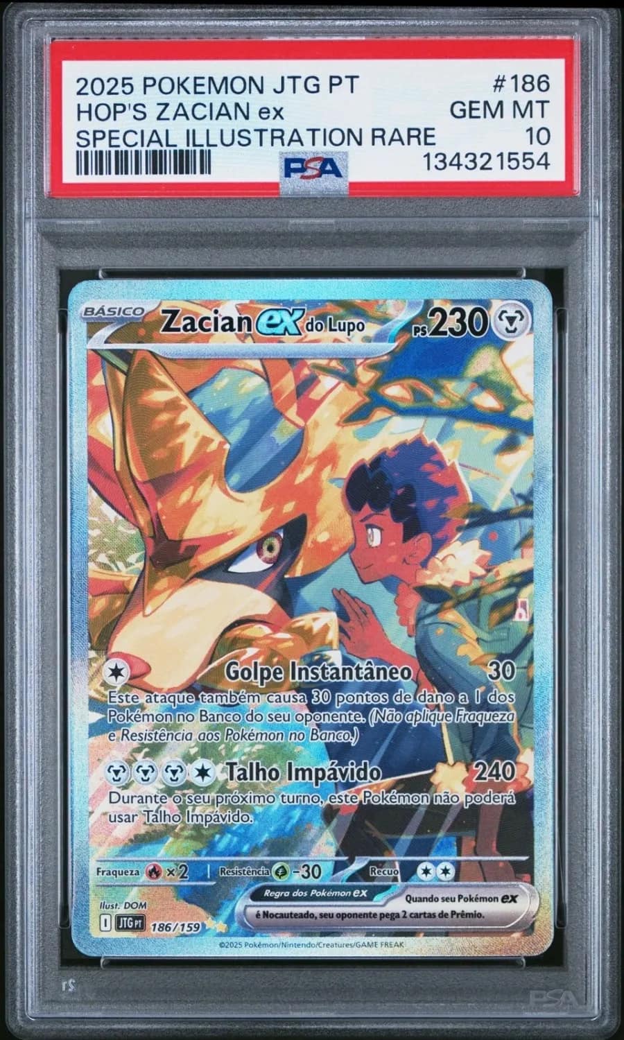 Hop'S Zacian Ex