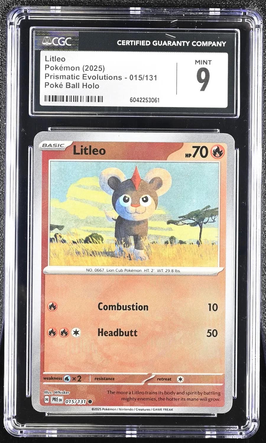 Litleo