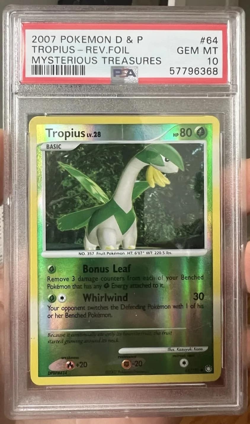 Tropius