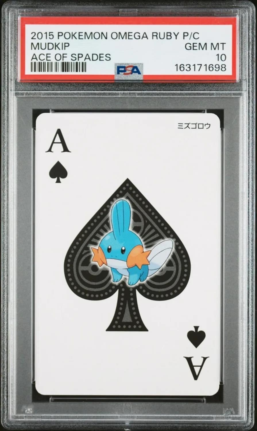 Mudkip