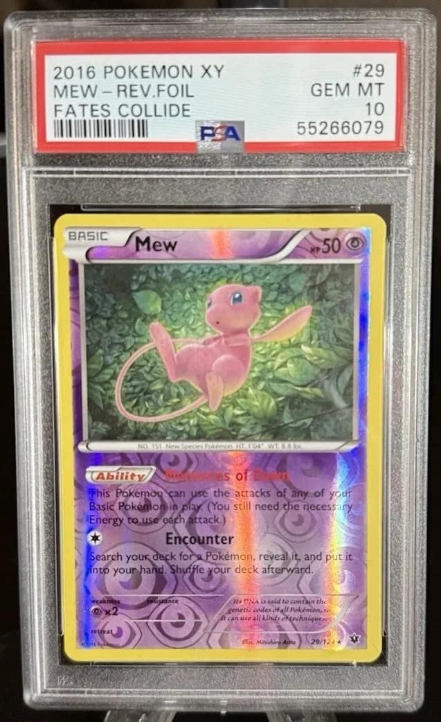 Mew