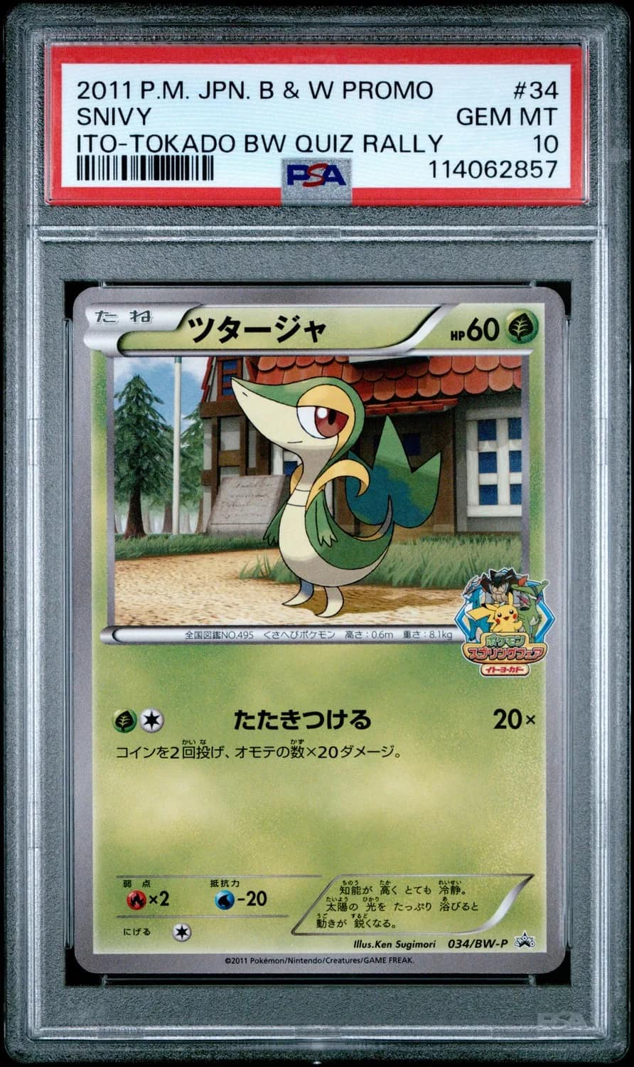 Snivy