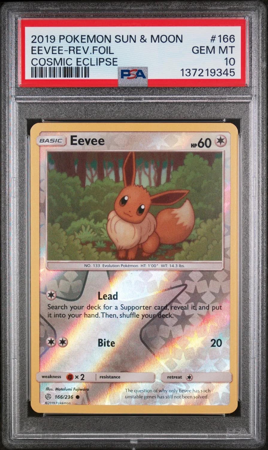 Eevee