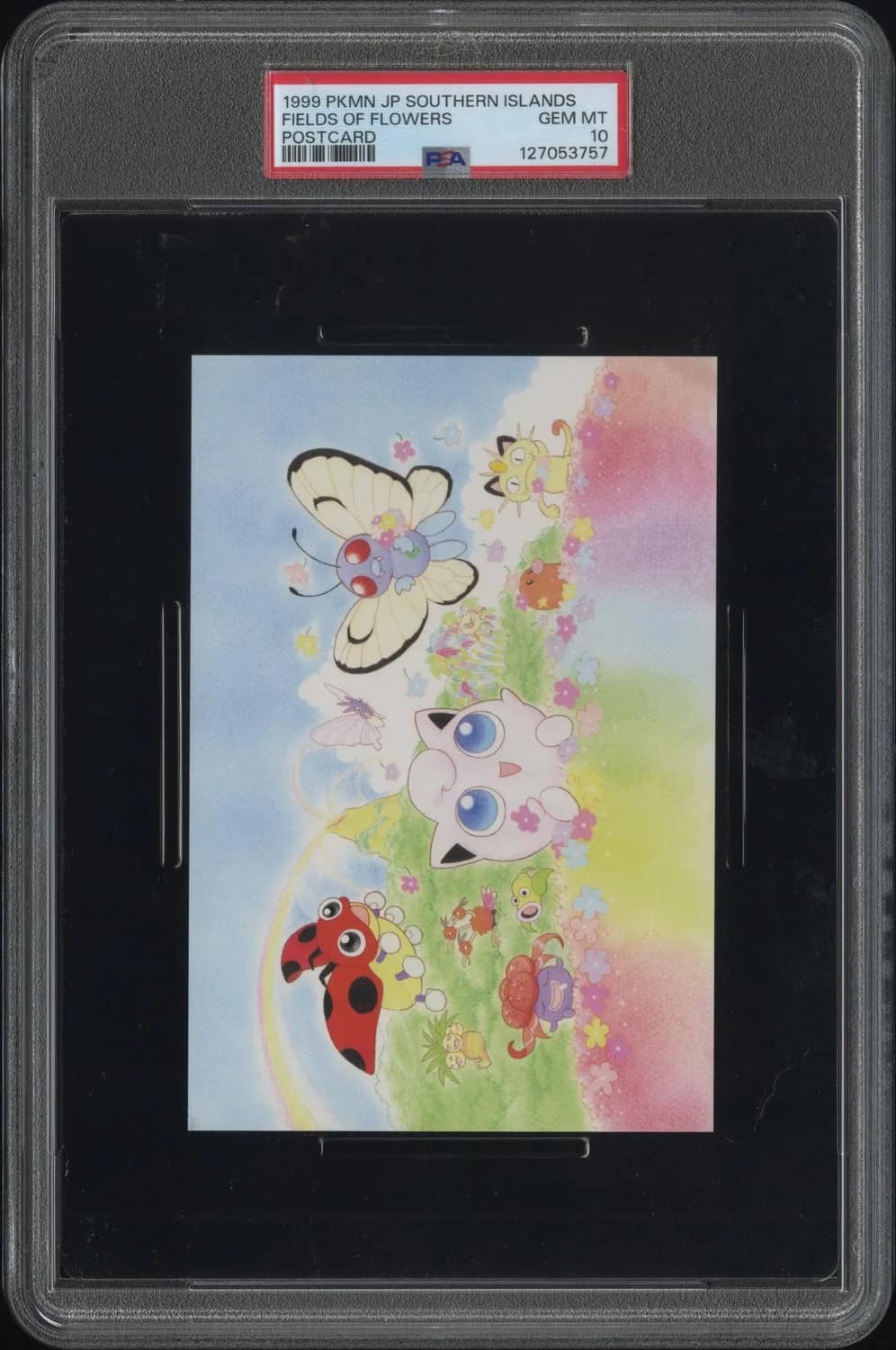 Fields Of Flowers