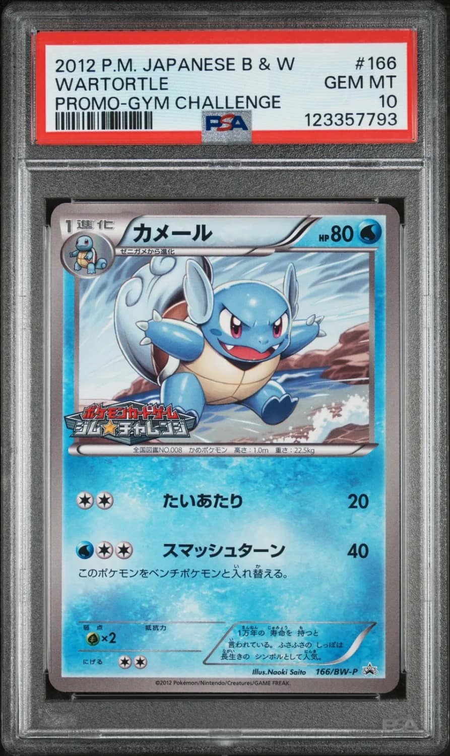 Wartortle