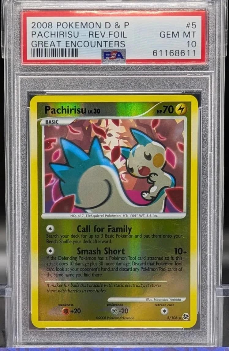 Pachirisu