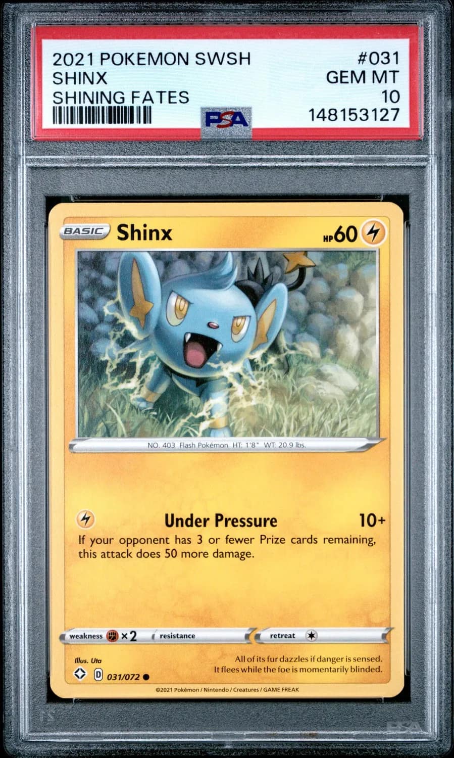 Shinx