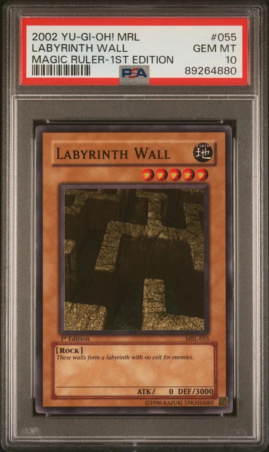 Labyrinth Wall