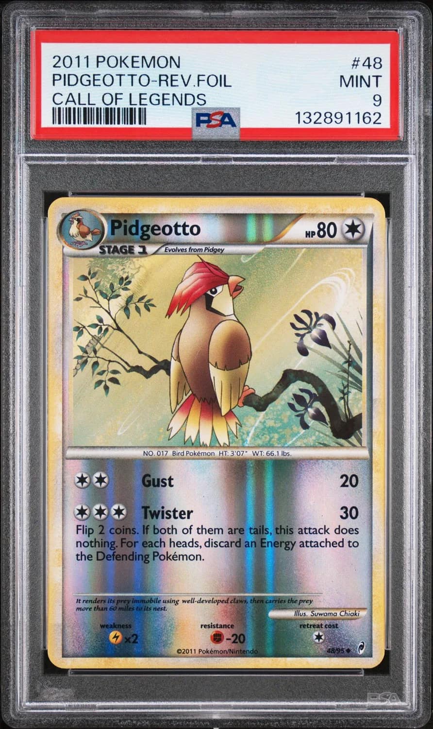 Pidgeotto