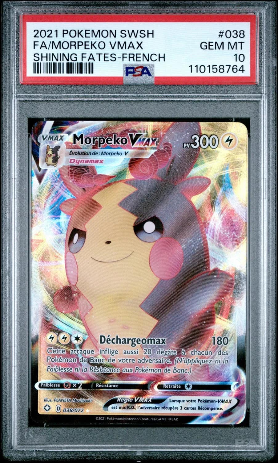 Morpeko Vmax