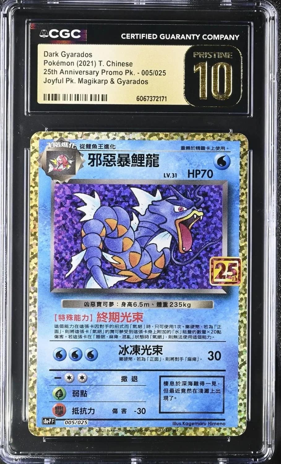 Dark Gyarados