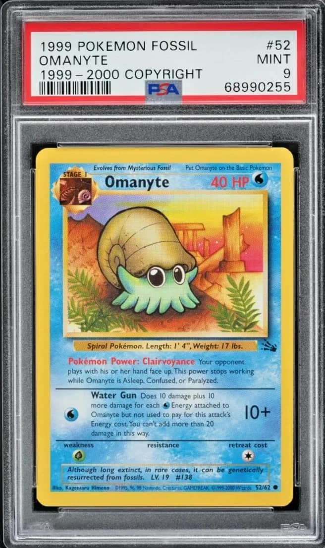 Omanyte