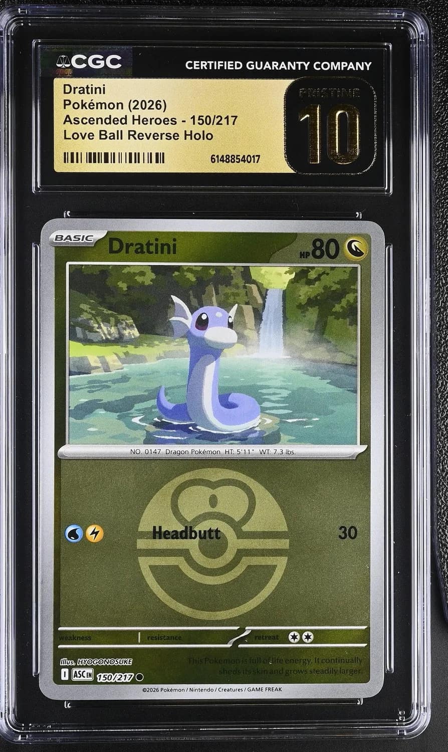 Dratini