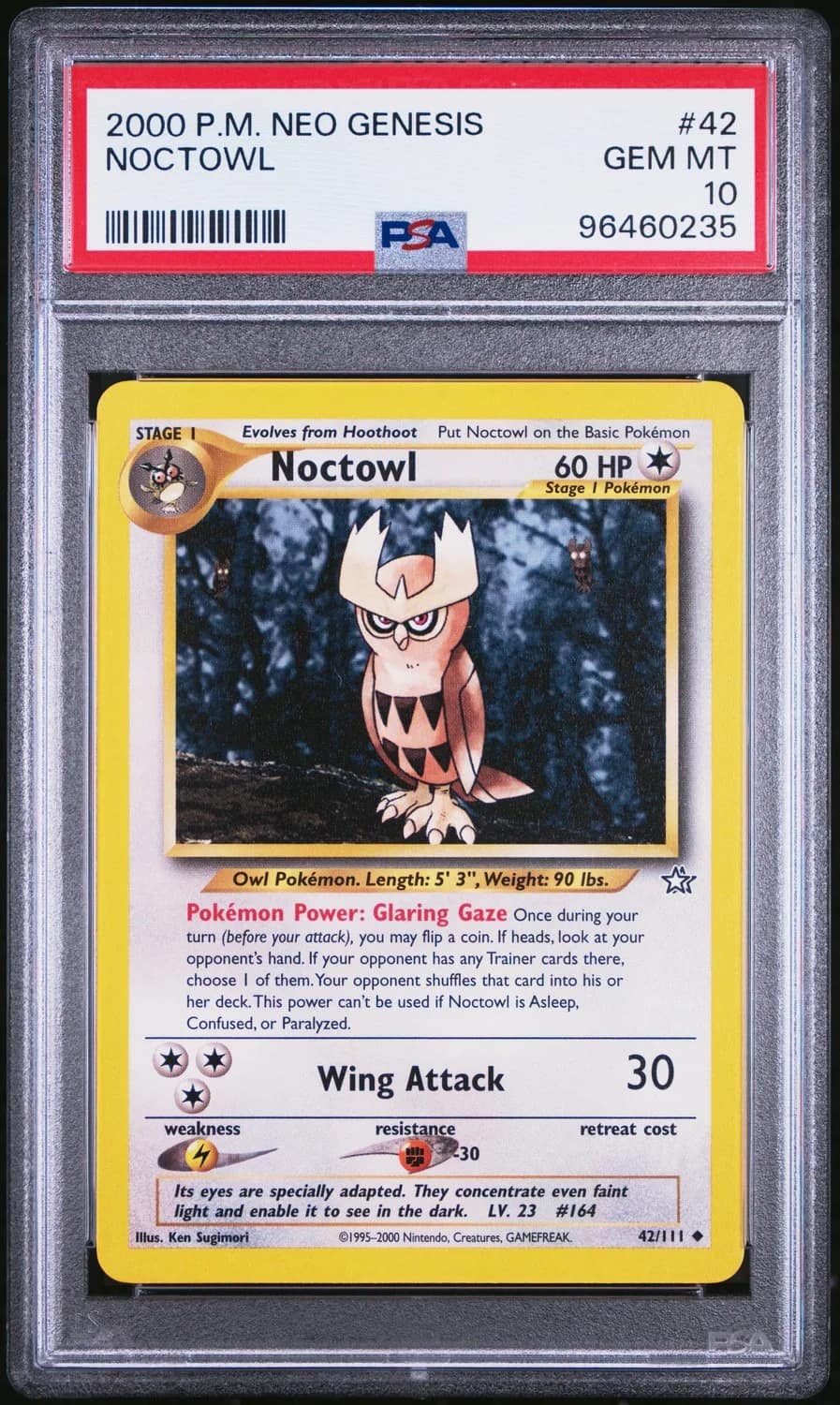 Noctowl
