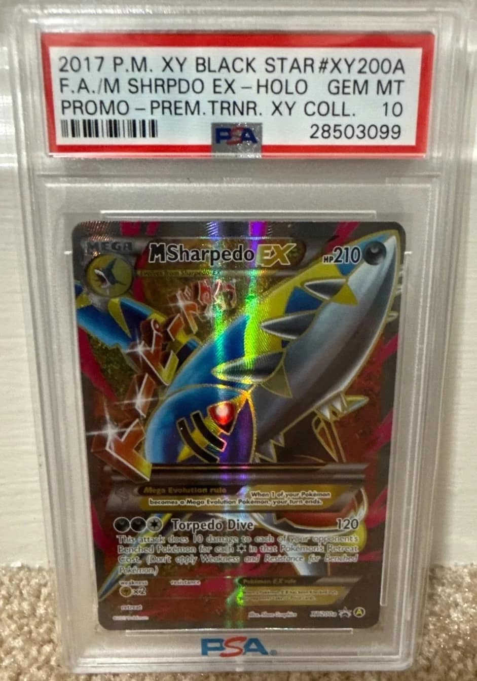 M Sharpedo Ex