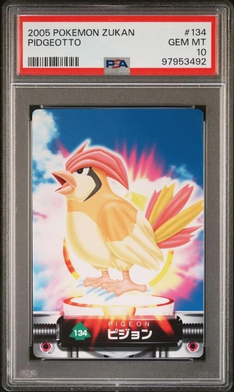 Pidgeotto