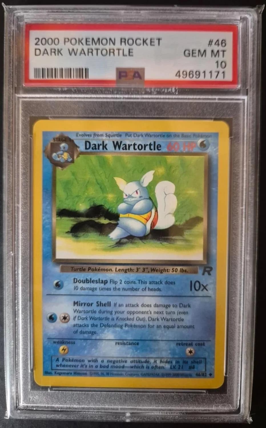 Dark Wartortle