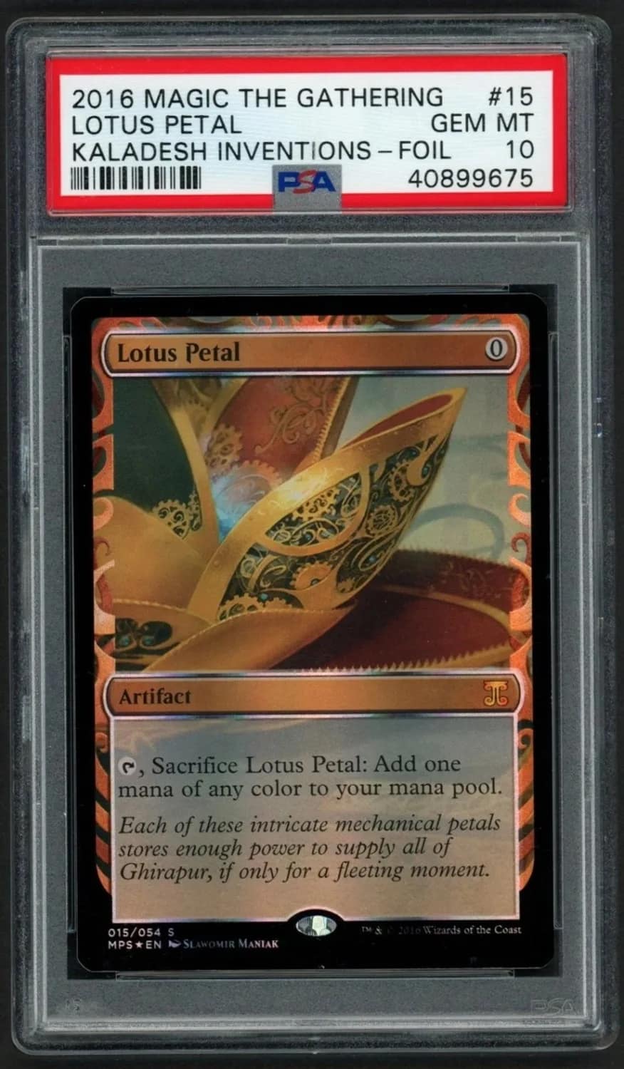 Lotus Petal