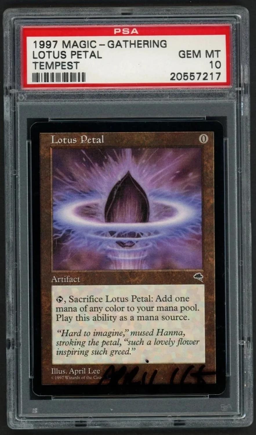 Lotus Petal