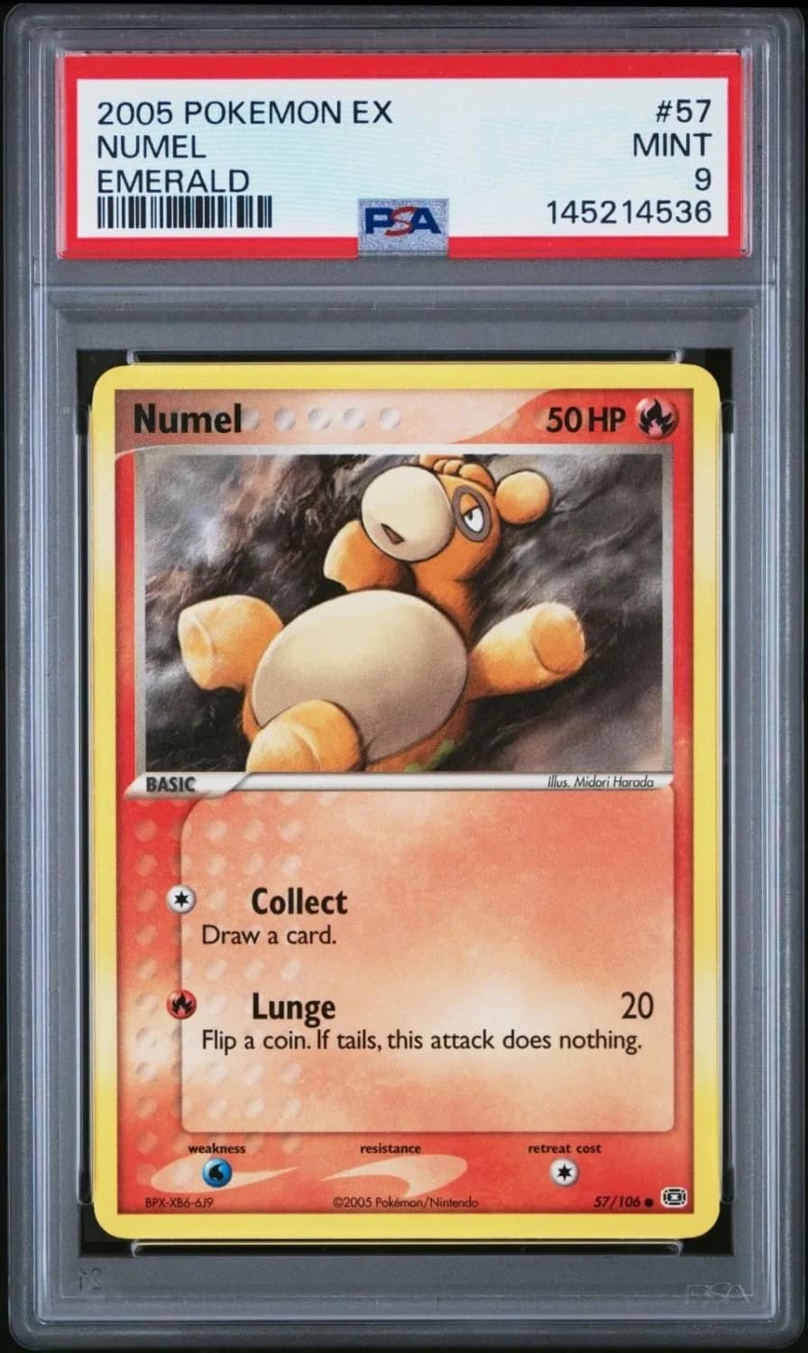 Numel