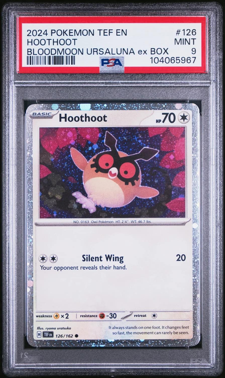 Hoothoot