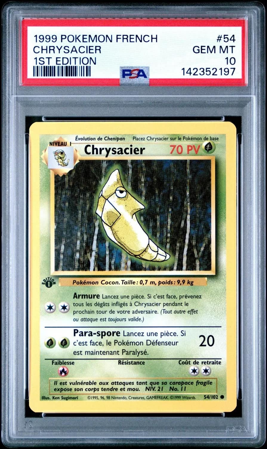 Chrysacier