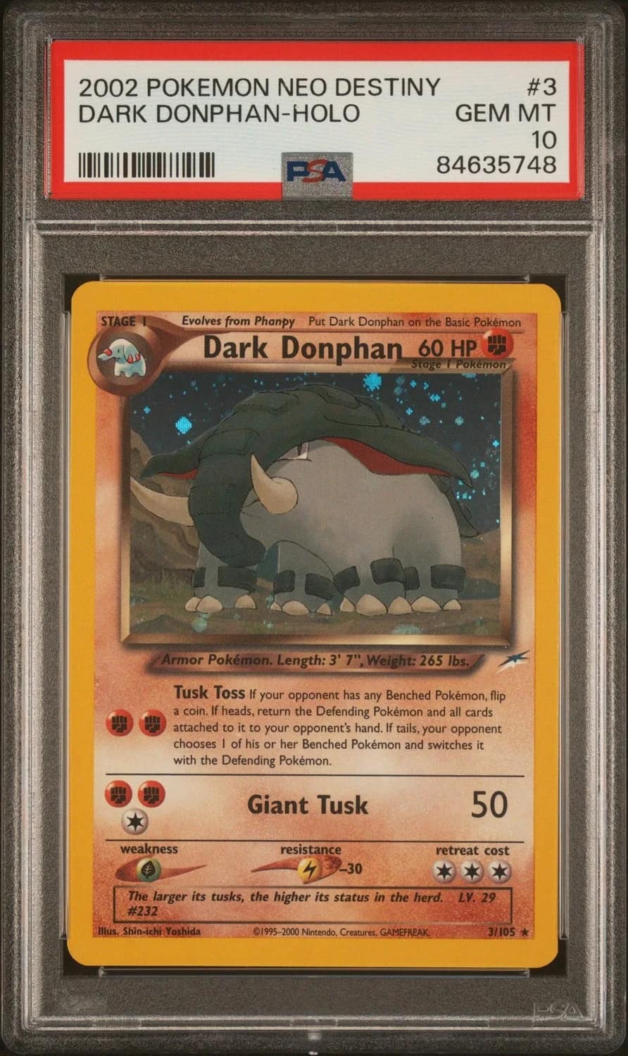 Dark Donphan