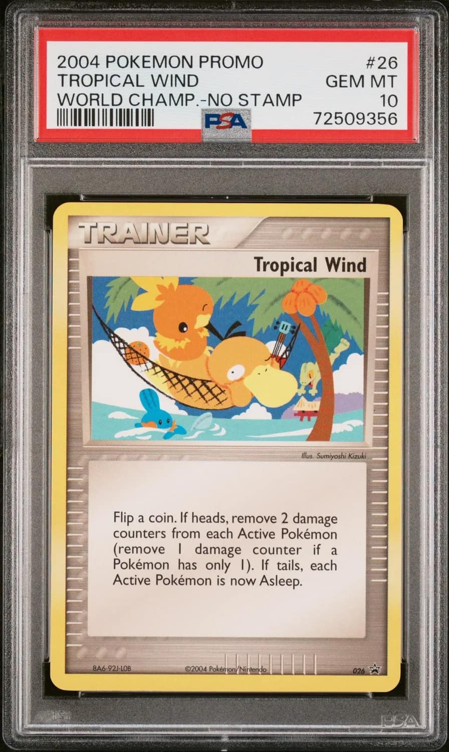 Tropical Wind